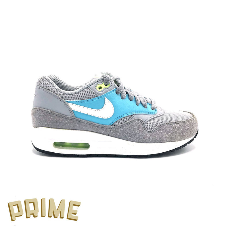 Nike Air Max 1 "Wolf Grey Gamma Blue"