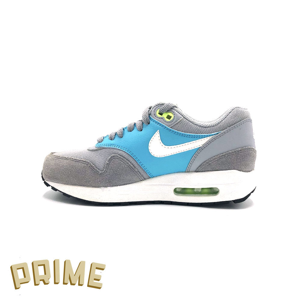 Nike Air Max 1 "Wolf Grey Gamma Blue"
