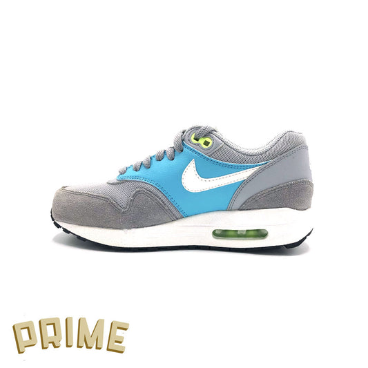 Nike Air Max 1 "Wolf Grey Gamma Blue"