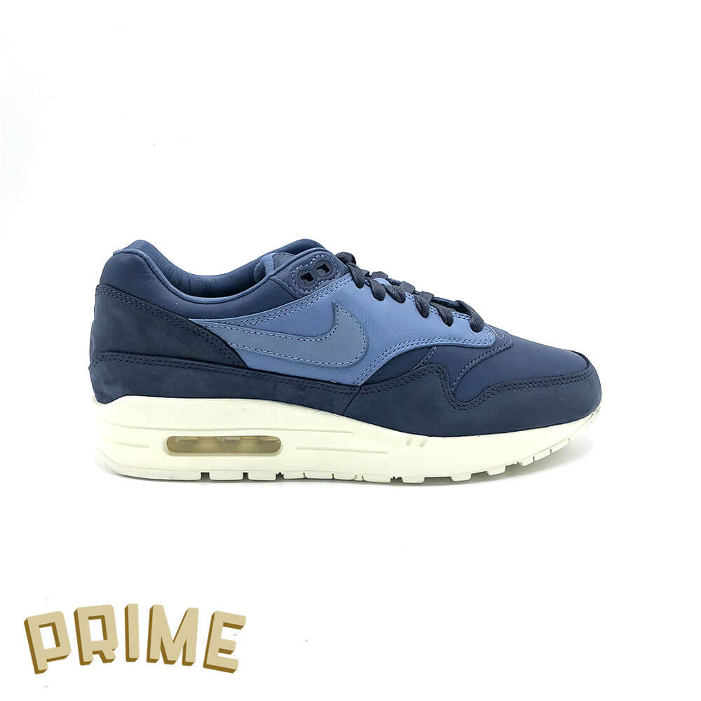 Nike Air Max 1 Pinnacle