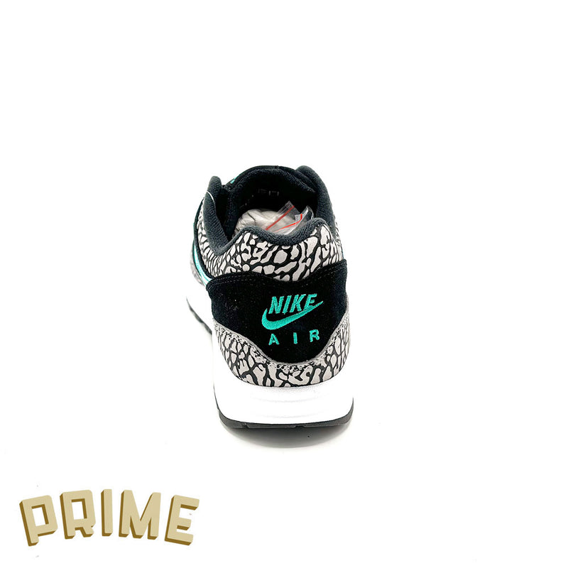 Nike Air Max 1 Atmos x Jordan