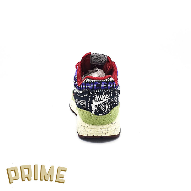 Concepts x Nike Air Max 1 SP