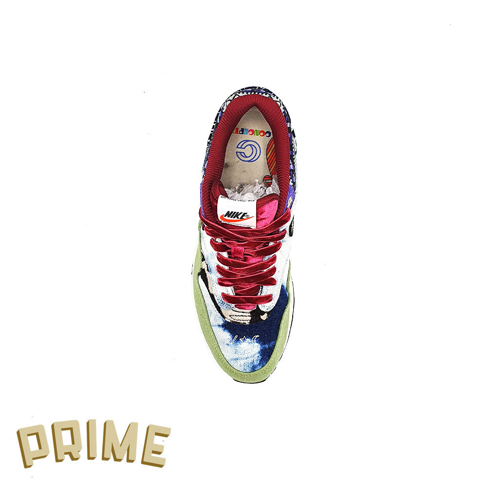 Concepts x Nike Air Max 1 SP