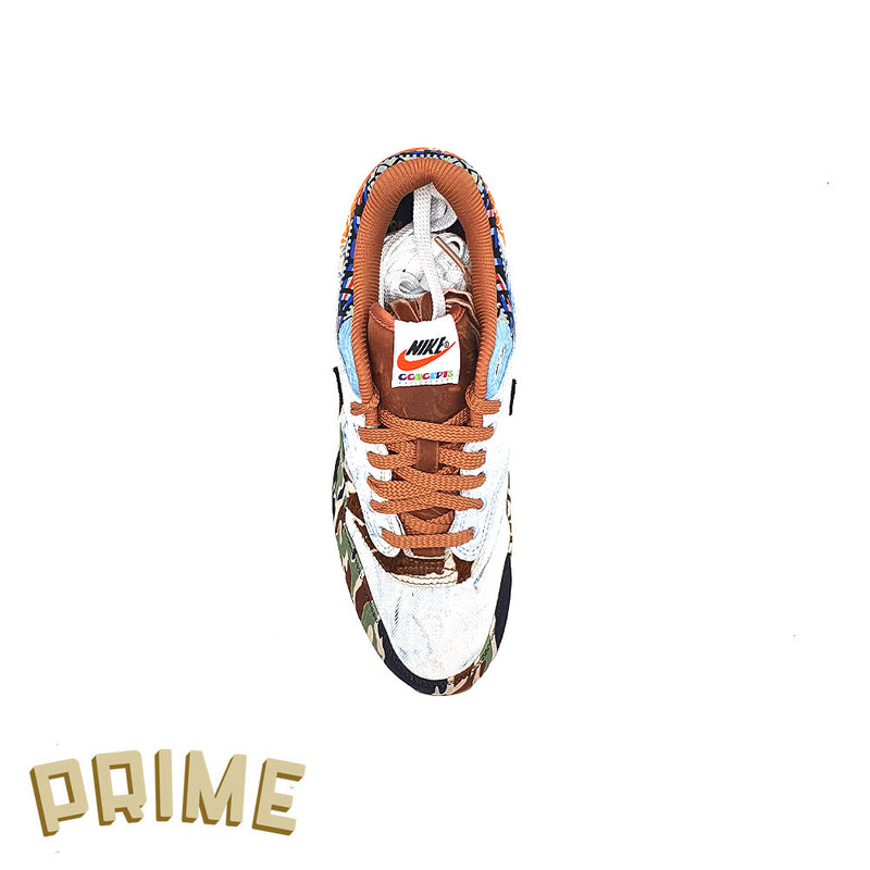 Concepts X Nike Air Max 1 'Heavy'