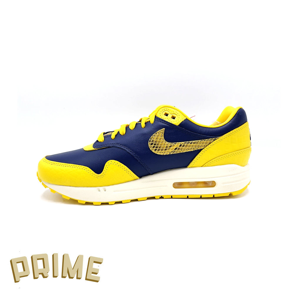 Nike Air Max 1 CO.JP "Michigan"